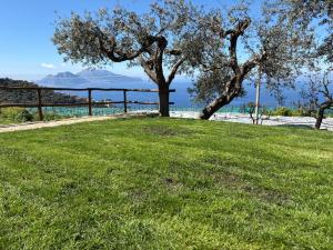 Bilocale Il Nido