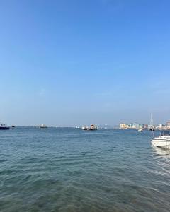 The Drift- Exmouth Beach