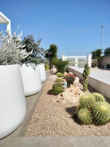 B&B Bianco Mediterraneo