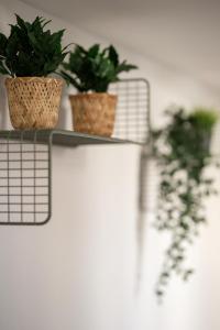 Downtown Studios 4 - Central Escape