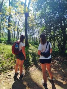 Rinjani Vibe Bungalows