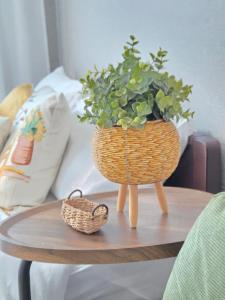 Moana Cozy House