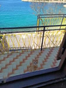 Apartments Stokic
