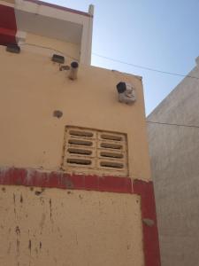 Sudama Homestay