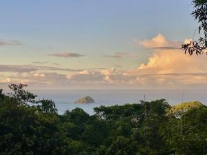 Breathtaking Ocean Vistas, Jungle Bliss, Walk to Eateries & Beach, Fast Internet