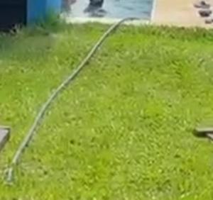 Quincho El Milagro
