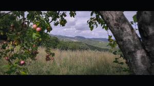 Villa Amrita Janani-Yoga e lifestyle tra Gubbio e Assisi