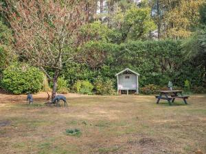 The Retreat - Uk50421