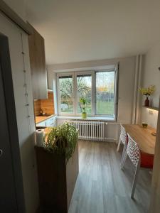 Útulný byt v Brně