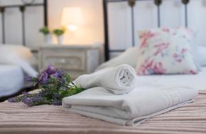 San Miguel Terraza Moderno