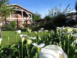 B&B / Chambres d'hotes Les Arums de Fondeminjean : photos des chambres