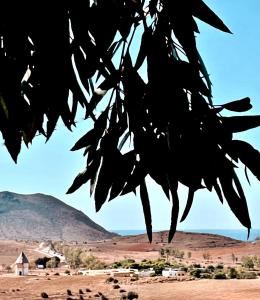Cabaña Cabo de Gata
