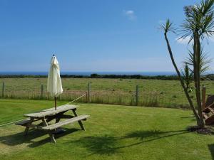 Beautiful and Unique lodge near Porthcurno Minack