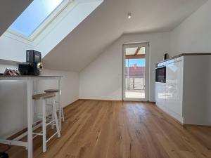 Graz City Penthouse