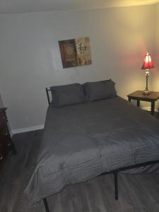 Convenient Downtown Apartment