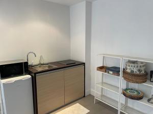 Bright large studio apartment