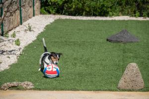 Appartamento La Conchiglia a pochi passi dal centro img35