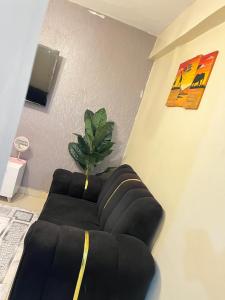 Domiya suites