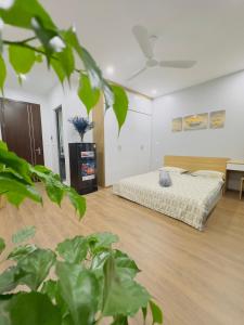 Toàn Home