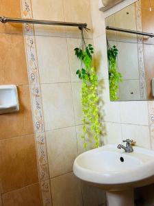 Eunas homestay