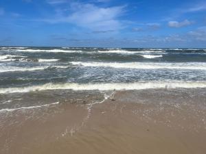 Apartament 44A Dębina I 400 m do plaży przez las I balkon I 4 osoby