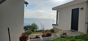 Oceanfront Oasis
