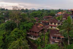 Pager Apartments 2BR - Nature View in City Center