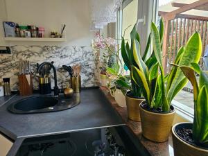 Apartment Second Mary