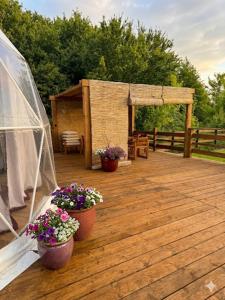 Glamping LA BELLA Suntago