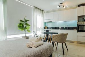 Delightful Studio Apartment in Las Condes