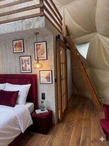 Glamping LA BELLA Suntago