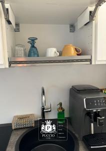 Juliets Boat in City Center - 1