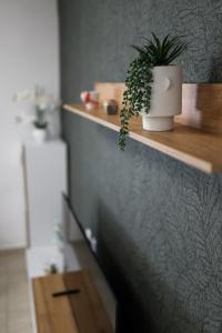 I&R Apartment