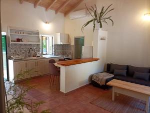 The Flower and the Snail