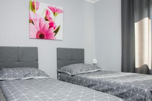 Apartamenty Suchacz