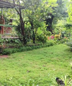 Calamara 3 rooms for Family and Friends upto 10