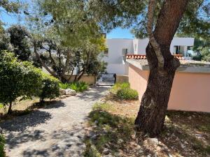 Villa Punta