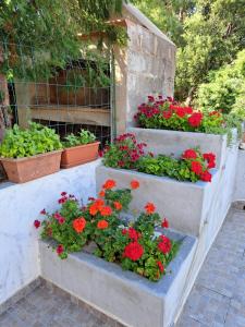 Domus de sole