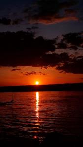 Blue River, sojenica na Dunavu