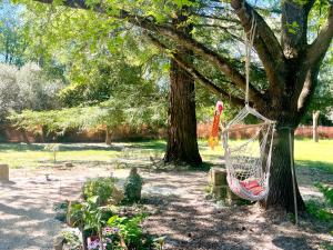 Studio La Provençale