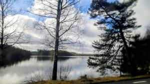 Sunflower Apartment 88 m2 Hyltebruk, Sweden