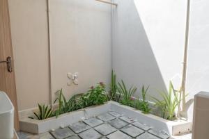 Ayvana Retreat