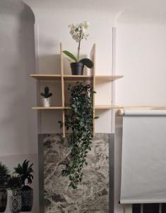 Little house