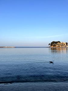 Casa del Pez, À 2min de la plage et du port à pied