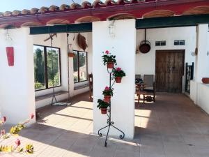 Un lugar para desconectar y disfrutar