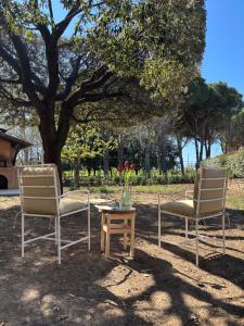 VILLA ILARI - appartamento ILARIA tra MARE E TERME