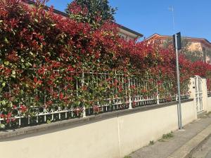 La casa dei Fiori