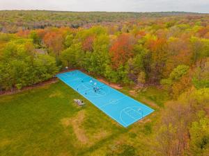 Boardwalk Chalet Lakefront Fire Pit Pet Frie