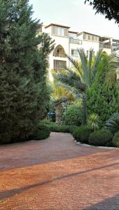 luxury apartment in the heart of Irbid