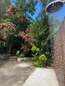 Encanto das Flores